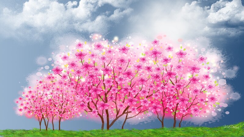 Cherry Blossom Trees — Pink, Serene, Spring, Digital Art, Clouds