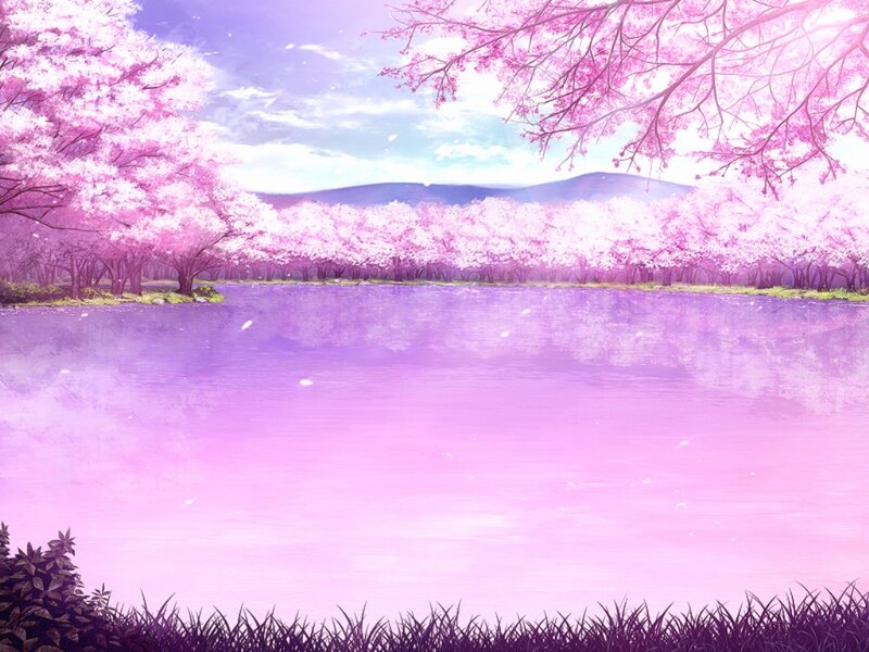 Cherry Blossom Trees — Pink, Serene, Spring, Digital Art, Lake