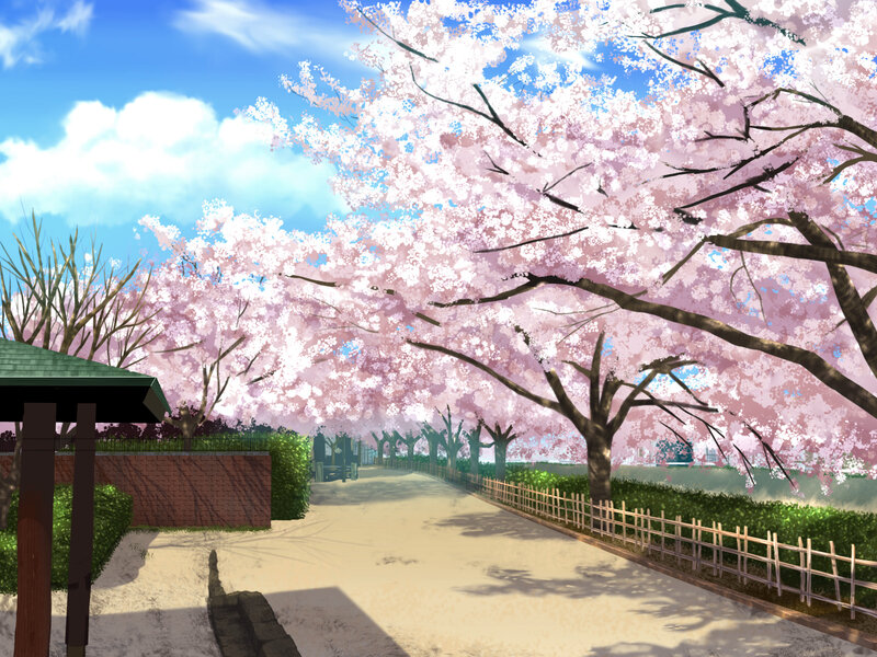 Cherry Blossom Trees — Pink, Serene, Spring, Digital Art, Path, Fence