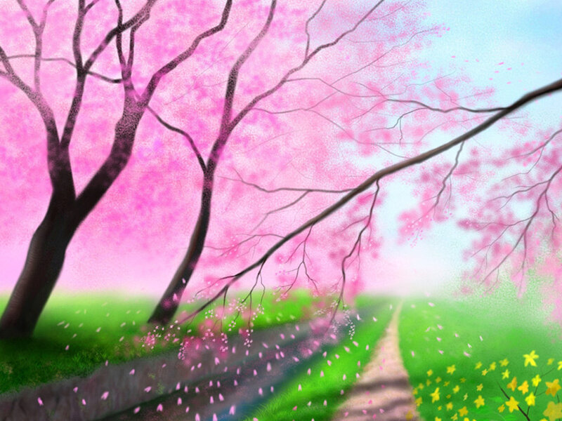 Cherry Blossom Trees — Pink, Serene, Spring, Digital Art, Path, Flowers, Grass
