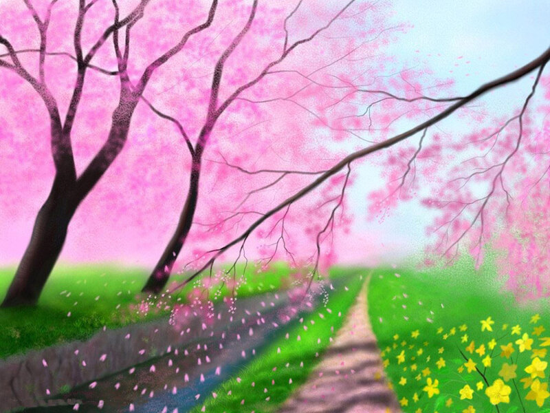 Cherry Blossom Trees — Pink, Serene, Spring, Digital Art, Path, Flowers