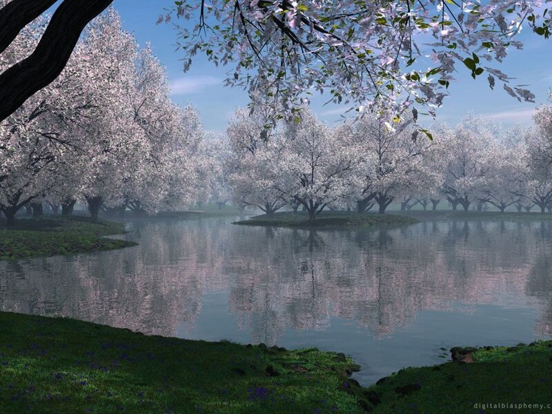 Cherry Blossom Trees — Pink, Serene, Spring, Digital Art, River