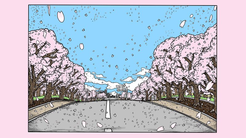 Cherry Blossom Trees — Pink, Serene, Spring, Illustration