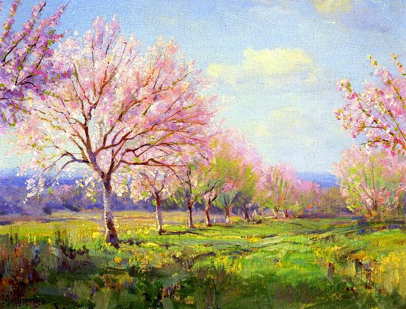Cherry Blossom Trees — Pink, Serene, Spring, Painting, Field