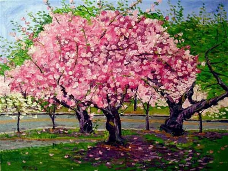 Cherry Blossom Trees — Pink, Serene, Spring, Painting, Grass