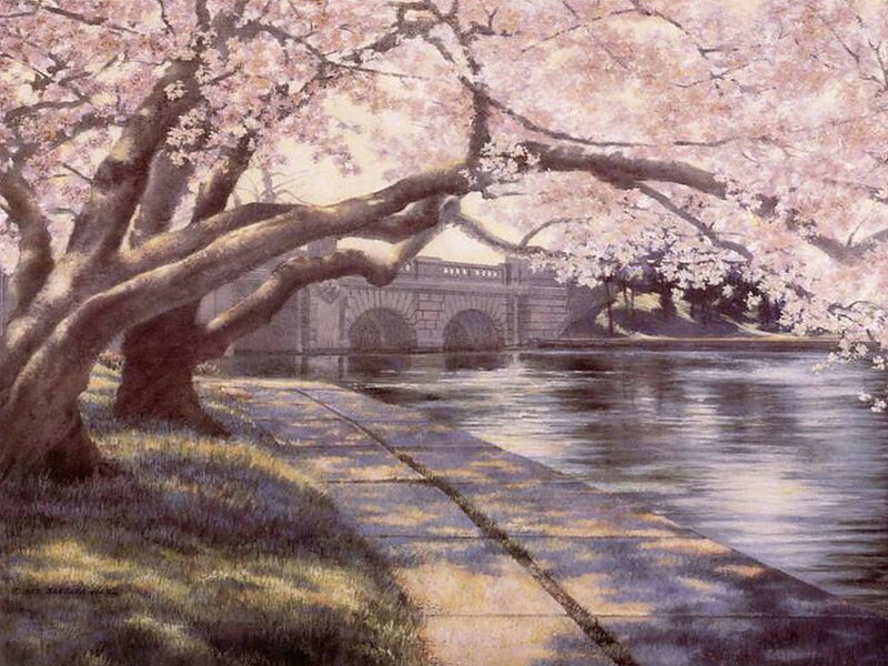 Cherry Blossom Trees — Pink, Serene, Spring, Painting, River, Bridge