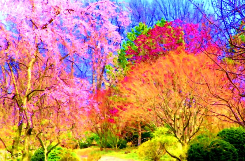 Cherry Blossom Trees — Pink, Vibrant