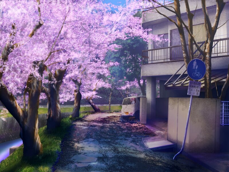 Cherry Blossom Trees — Purple, Serene, Spring, Digital Art