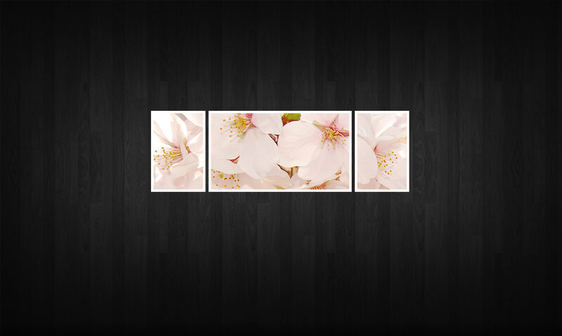 cherry blossom triptych