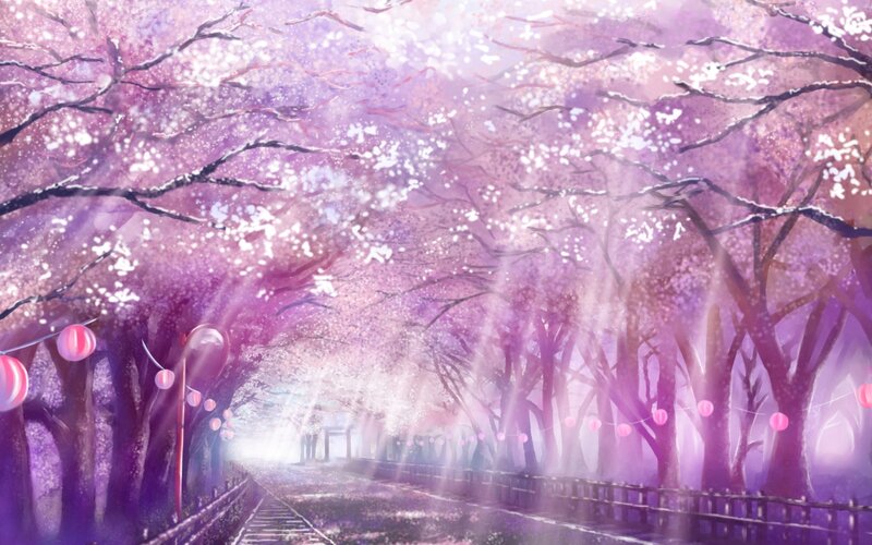 Cherry Blossom Tunnel — Purple, Serene, Spring