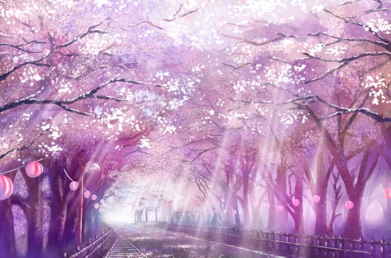 Cherry Blossom Tunnel — Purple, Serene