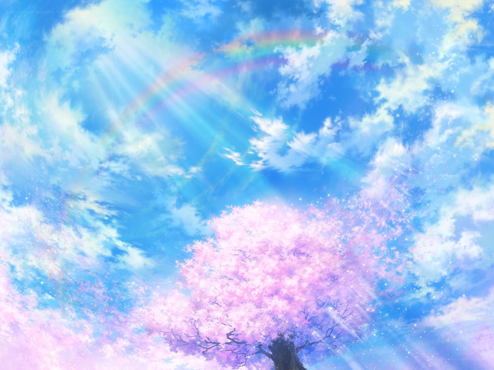Cherry blossom under rainbow sky