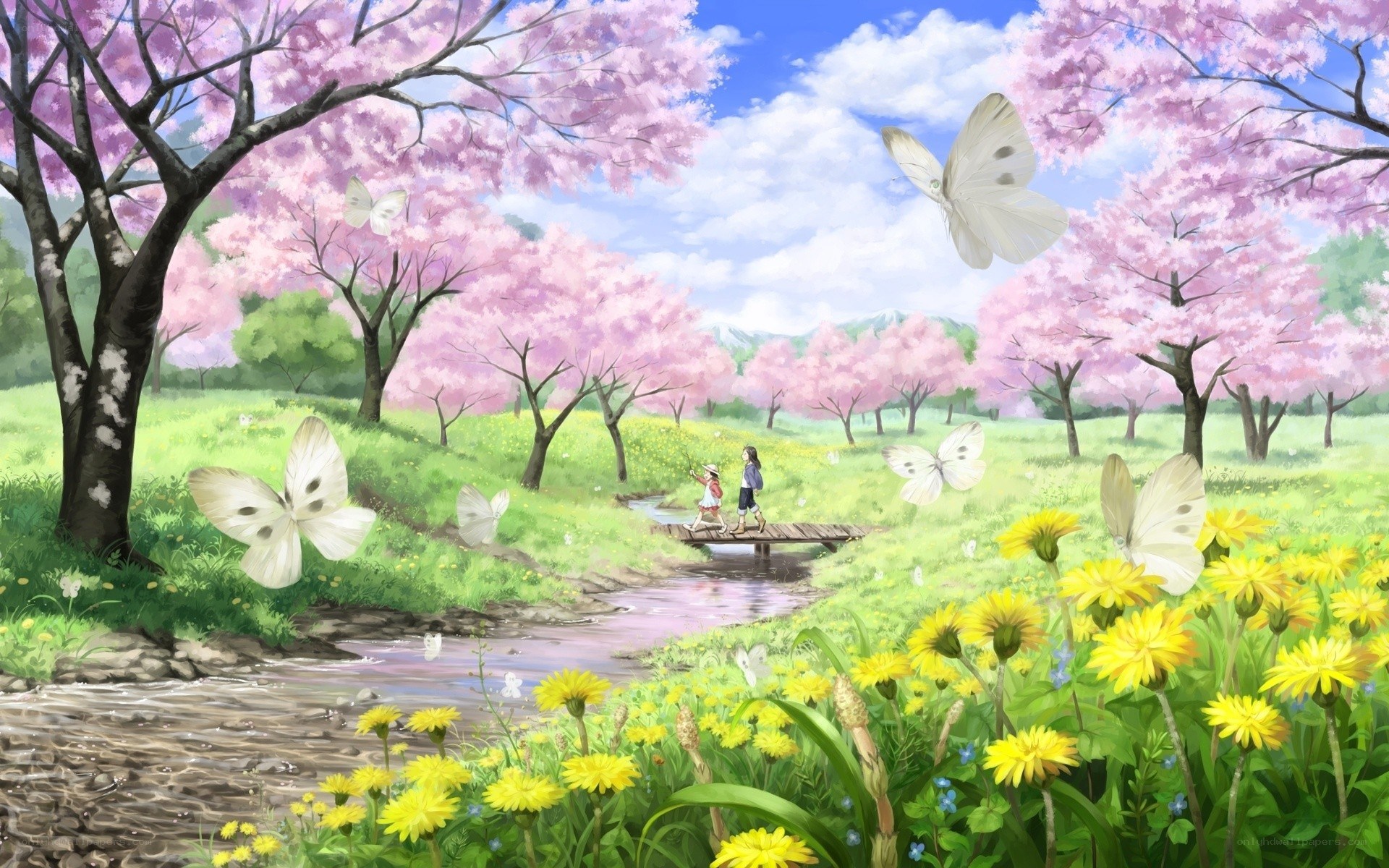 Cherry blossoms and butterflies
