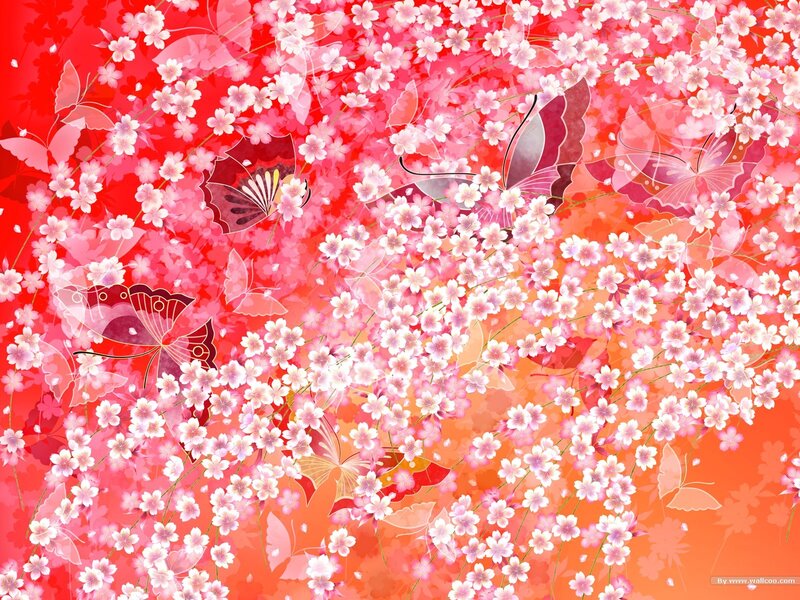 cherry blossoms and butterflies