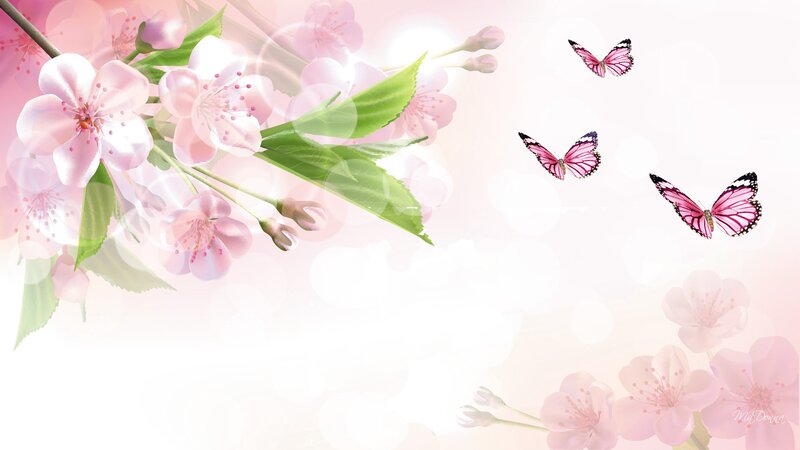 Cherry Blossoms and Butterflies — Pink