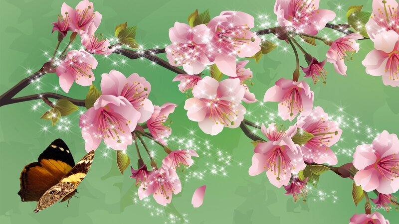 Cherry Blossoms and Butterfly — Pink