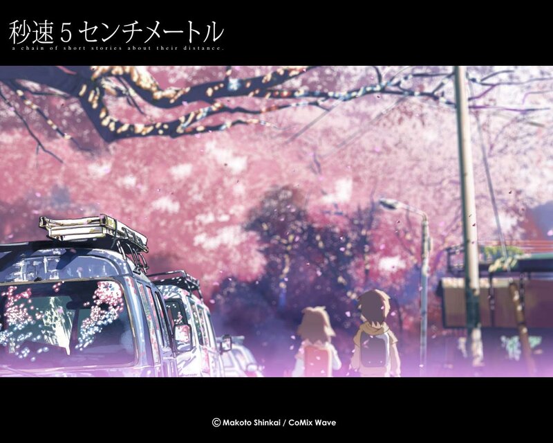 Cherry Blossoms and Distance