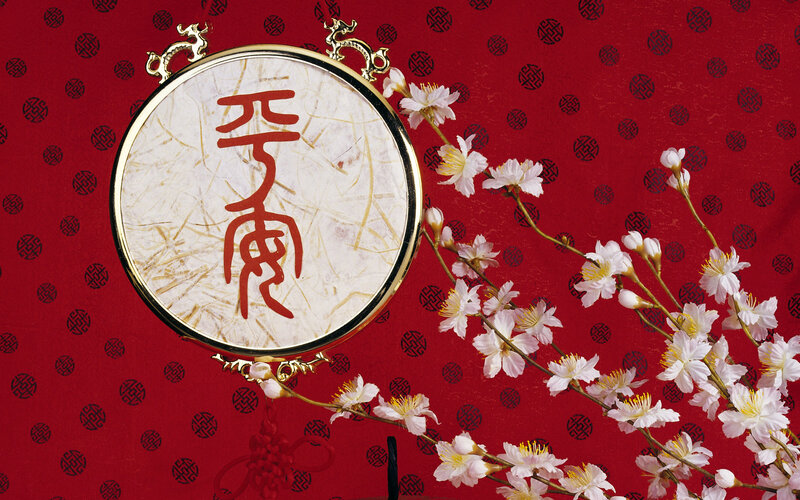 Cherry Blossoms and Fan
