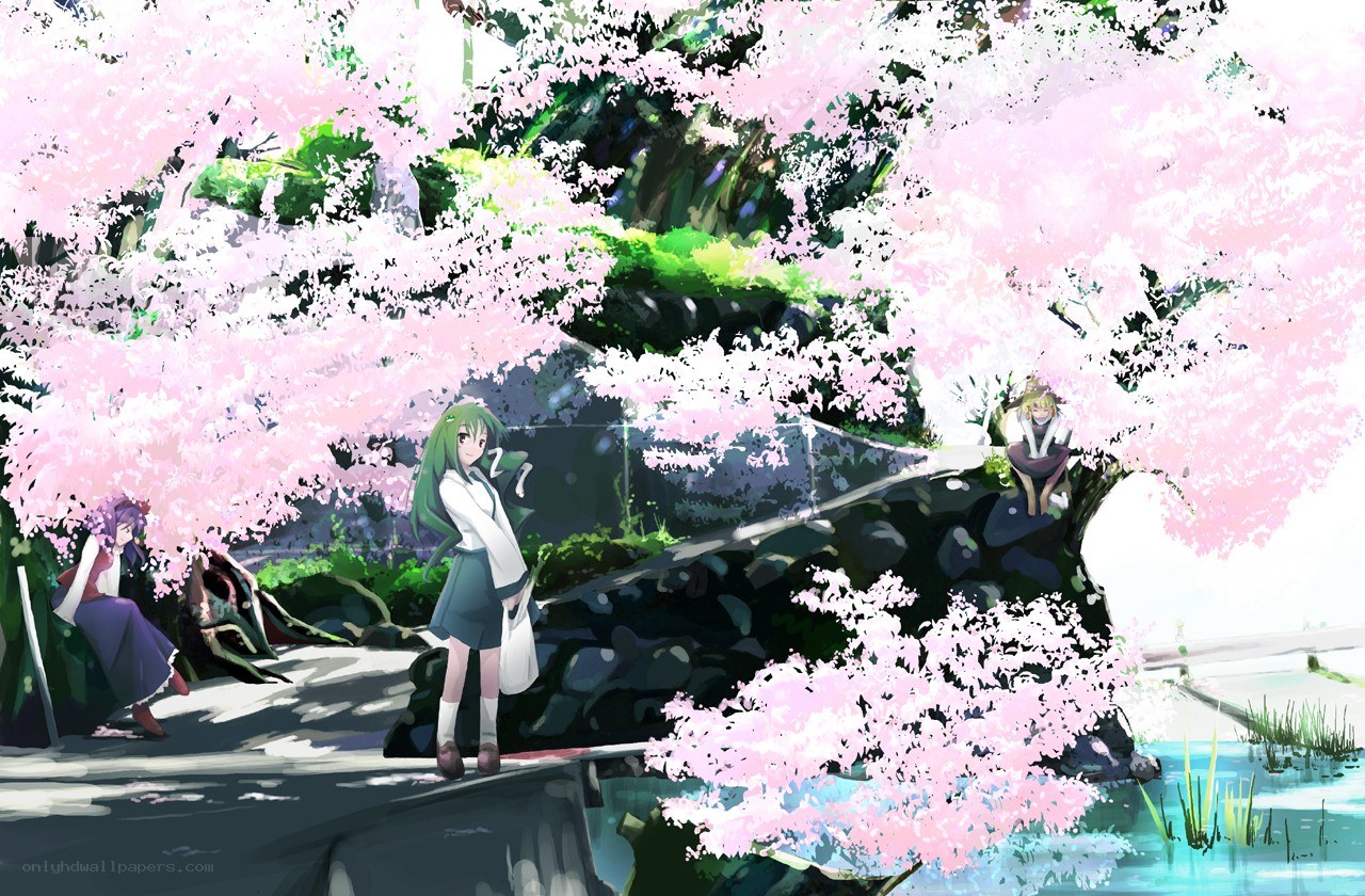 Cherry blossoms and friends