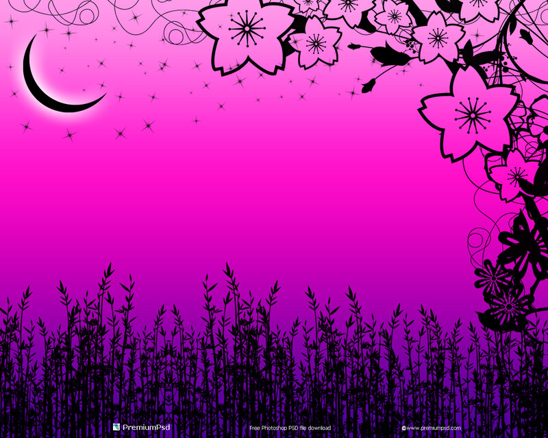 Cherry Blossoms and Grass