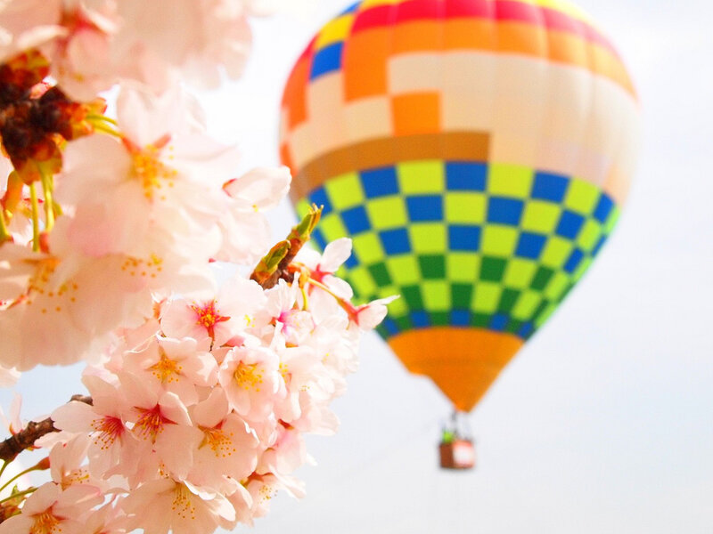 Cherry Blossoms and Hot Air Balloon