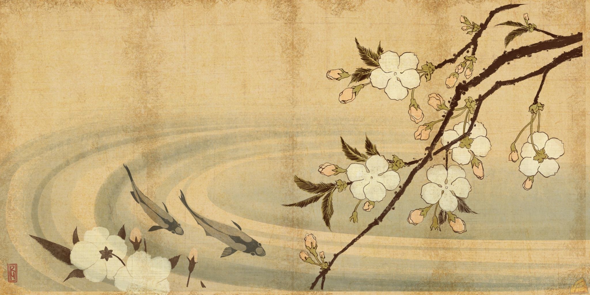Cherry blossoms and koi fish