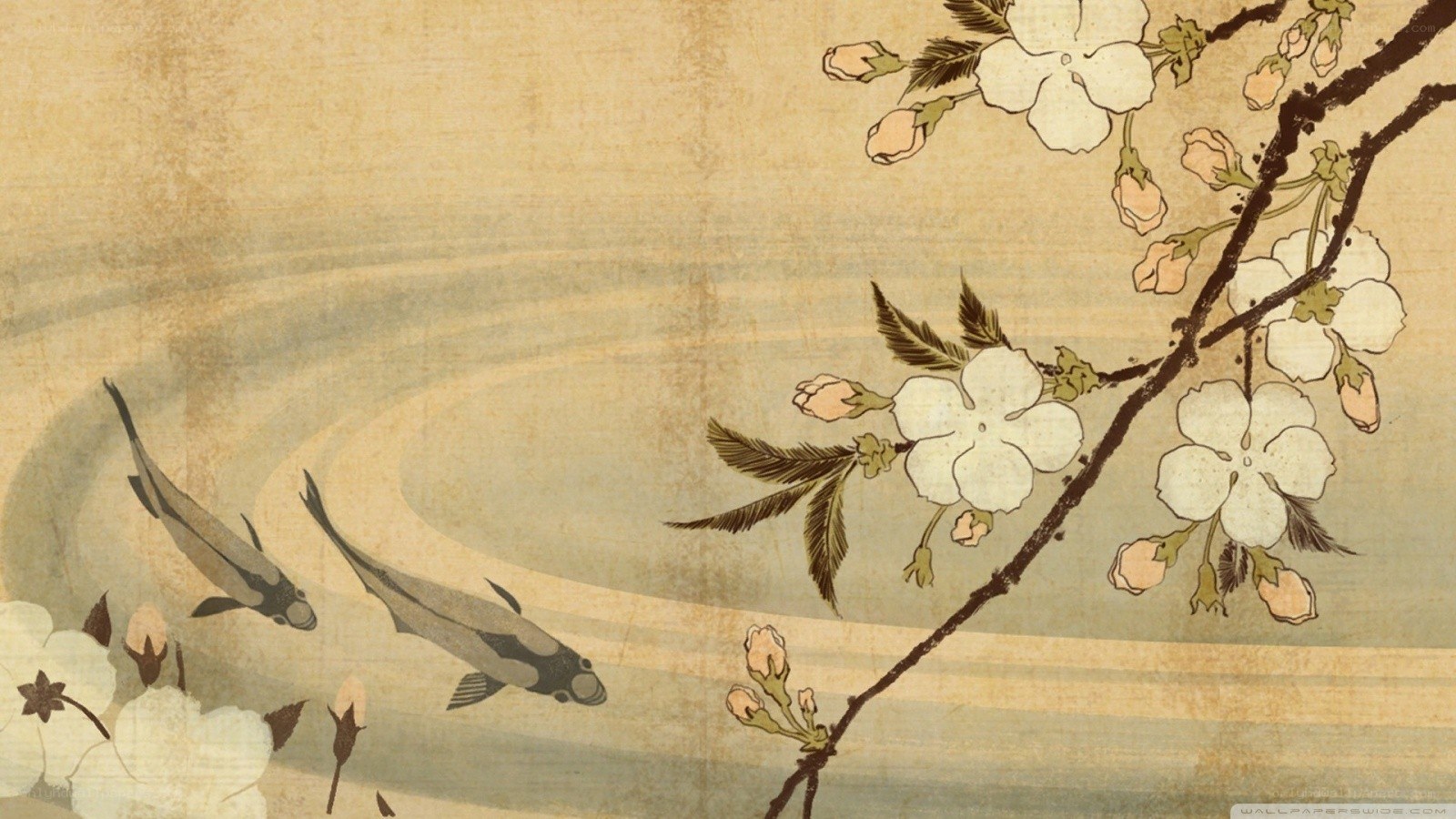 Cherry blossoms and koi fish