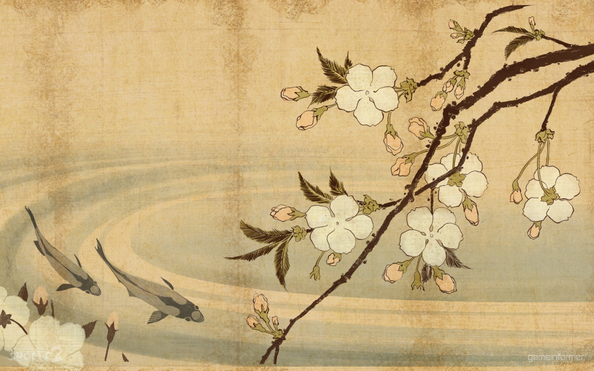 cherry blossoms and koi fish