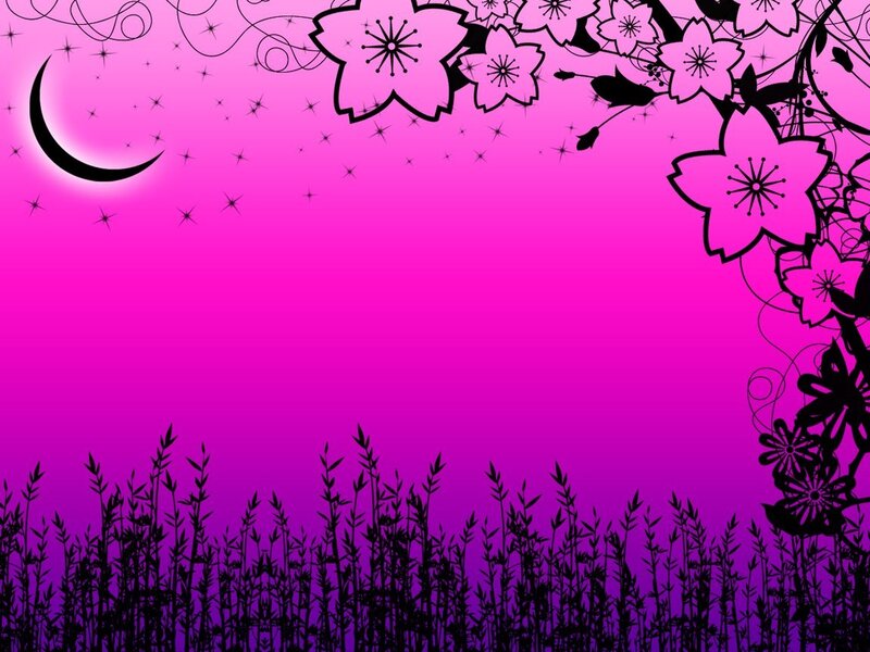 Cherry Blossoms and Moon