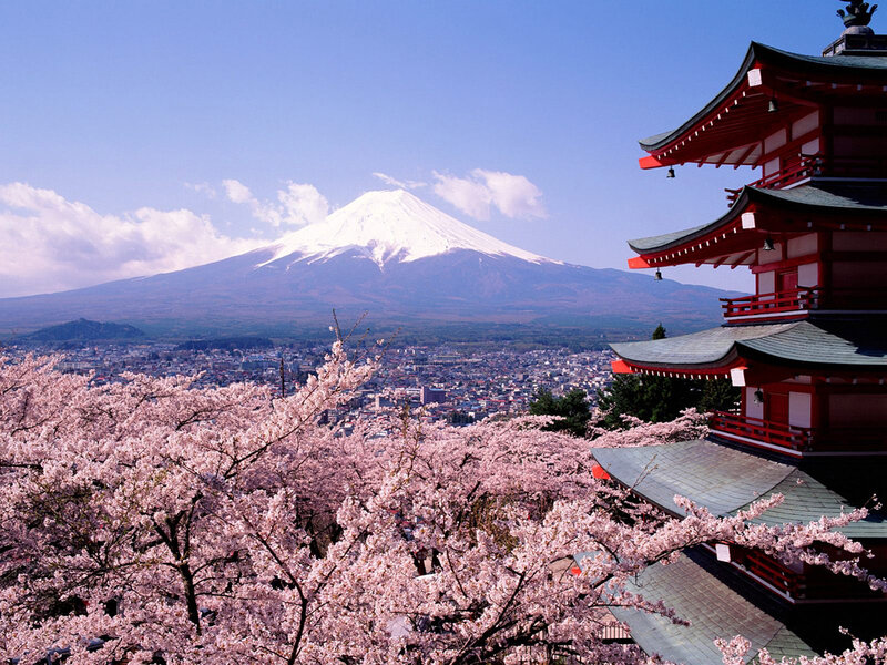 Cherry blossoms and Mount Fuji