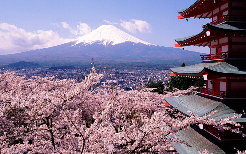Cherry Blossoms and Mountain — Pink, Serene