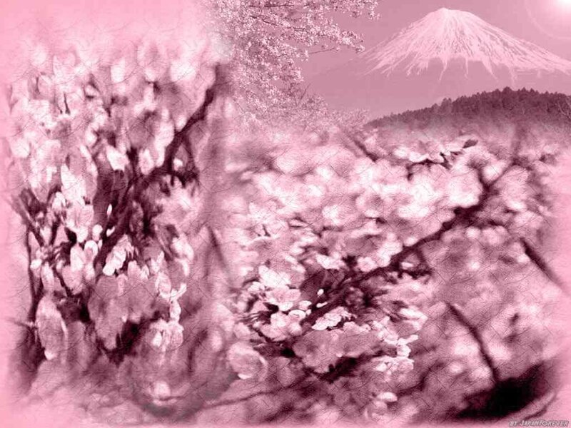 Cherry Blossoms and Mountain