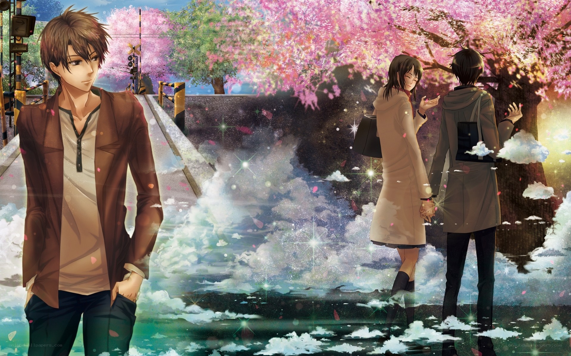 Cherry blossoms and romance