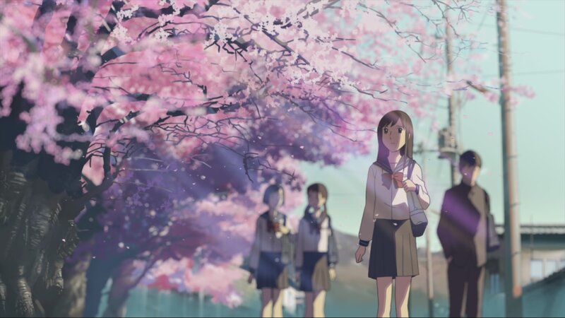Cherry blossoms and schoolgirls