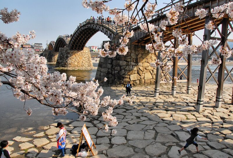 Cherry Blossoms and Stone Bridge
