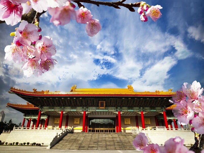 Cherry Blossoms and Temple — Pink, Serene, Spring, Photograph