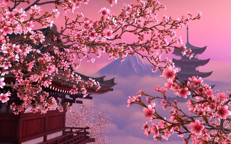 Cherry Blossoms and Temple — Pink, Serene, Spring