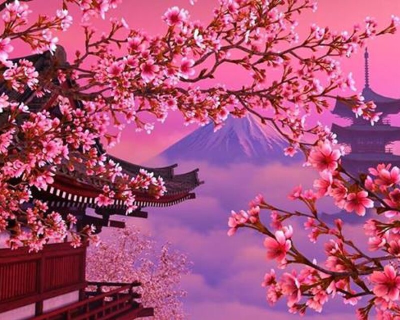Cherry Blossoms and Temple — Pink