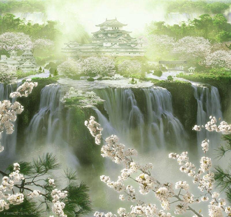 Cherry Blossoms and Waterfall