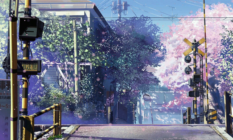 Cherry blossoms at a railway crossing