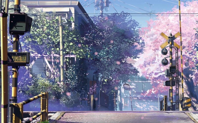 Cherry blossoms at a railway crossing