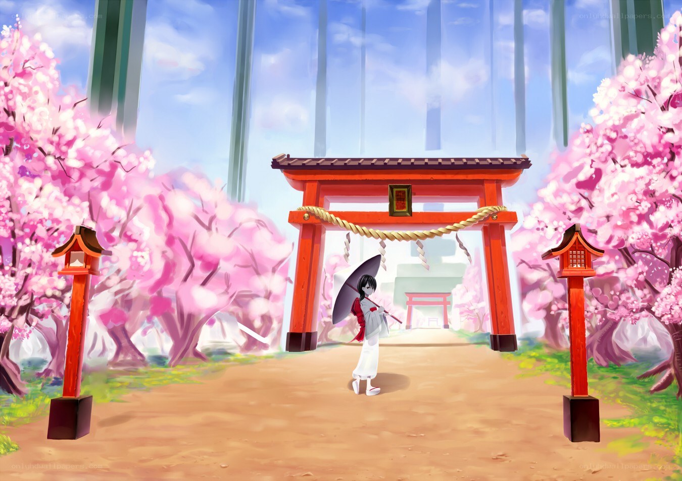 Cherry blossoms at a shrine