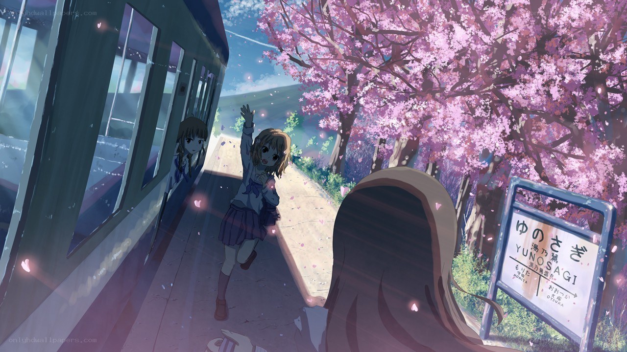 Cherry blossoms at a train station
