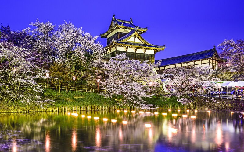 Cherry Blossoms at Castle — Blue, Serene, Night