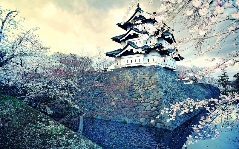 Cherry Blossoms at Castle — Blue, Serene, Spring