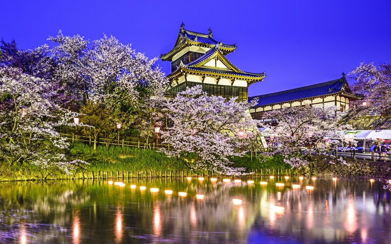 Cherry Blossoms at Castle — Blue, Serene