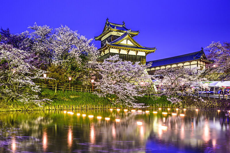 Cherry Blossoms at Castle — Blue