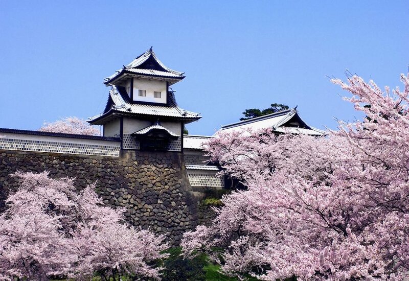 Cherry Blossoms at Castle — Pink, Serene, Spring