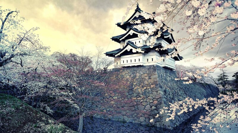 Cherry Blossoms at Castle — White, Serene, Spring, Photograph, Stone Wall