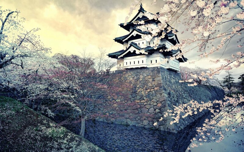 Cherry Blossoms at Castle — White, Serene